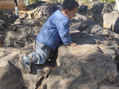 -昆明动物园