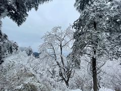 -峨眉山风景名胜区