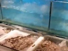 -深海800米海鲜自助(万达广场店)