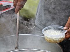 -潘玉麟糖粥