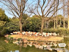 -上海野生动物园