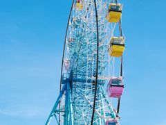 -巨鹏飞梦幻海岸