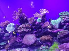 -青岛海底世界-水族馆