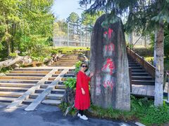 -横道河子东北虎林园