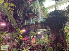 -正佳雨林生态植物园