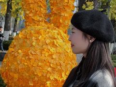 -百林公园-两江幸福广场