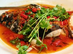 -坛宗剁椒鱼头(河西王府井店)