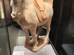 -隋唐大运河文化博物馆