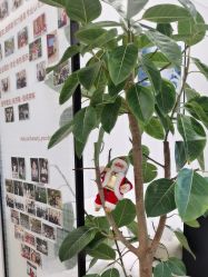 -洁铭新加坡医美