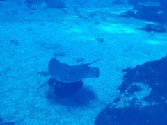 -南昌海洋公园