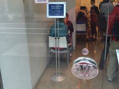 -Lady M Cake Boutique(麦迪逊大道店)