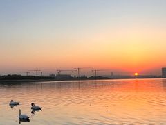 -北龙湖湿地公园