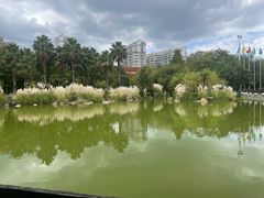 -云南荟·湖畔领宴(领事馆店)