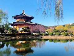 -龙口南山旅游景区