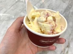 -哈根达斯(新都汇店)