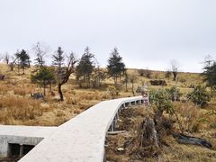 -硗碛藏寨·神木垒景区