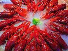 -红盔甲·小龙虾(天钥桥店)