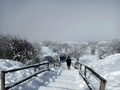 -太子岭滑雪场