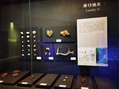 -北京周口店北京人遗址博物馆