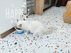 -FULL MOON满月咖啡