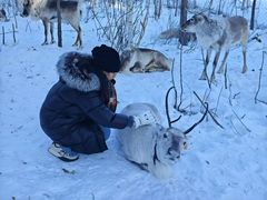 -北极村旅游风景区