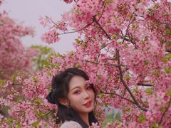 -天适樱花悠乐园