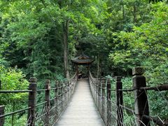 -凤栖山