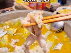 -石锅苗苗鱼(武汉首店)