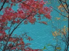 -叠溪松坪沟景区