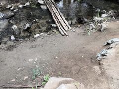 -白水寺森林公园