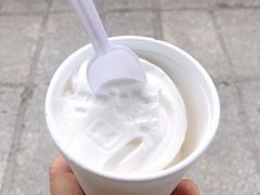 -洪馨椰子