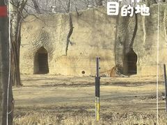 -秦皇岛野生动物园