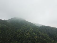 -广州市帽峰山景区