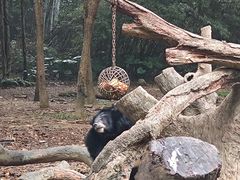 -广州长隆野生动物世界