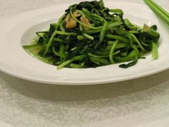 白灼芥兰苗-同和居(月坛店)