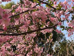 -小米乐儿童之家