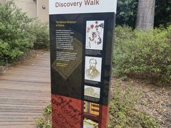 -墨尔本皇家植物园