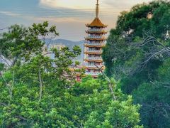 -仙岳公园