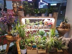 大堂-十二舍·湯物素煮(江泰潤政店)