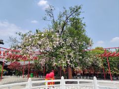 -祥源·阜阳生态乐园