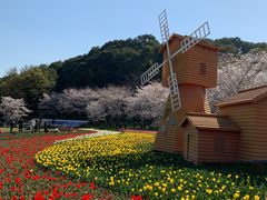 -苏州上方山国家森林公园