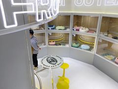 -糯米喵星人总部直营旗舰店·猫舍·幼猫出售