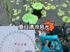 -天津水上公园