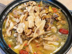 -蘑统田下·野生菌火锅