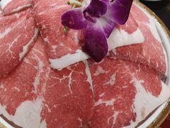 肥牛-红鼎坊·老成都火锅(新南门店)