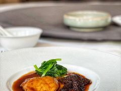 羊肚菌葱烧鮰鱼肚-荣府宴(南阳路店)