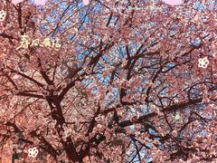 -沈阳铁西万象汇