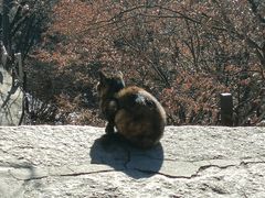 -华山风景名胜区