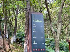 -杭州半山国家森林公园