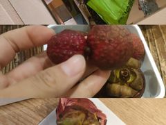 -乐汤汇温泉生活馆